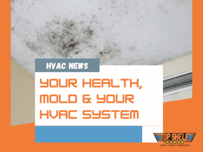 mold hvac system