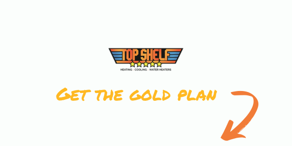 gold plan top shelf